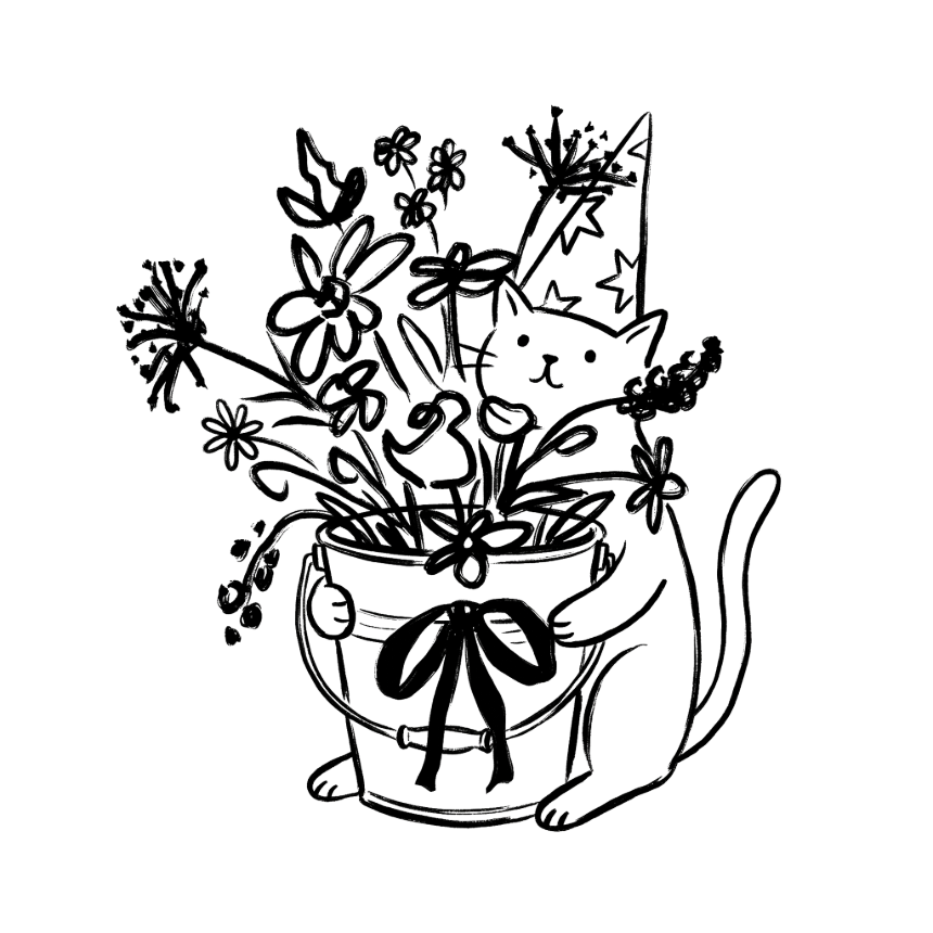 Invyra Cat Illustration